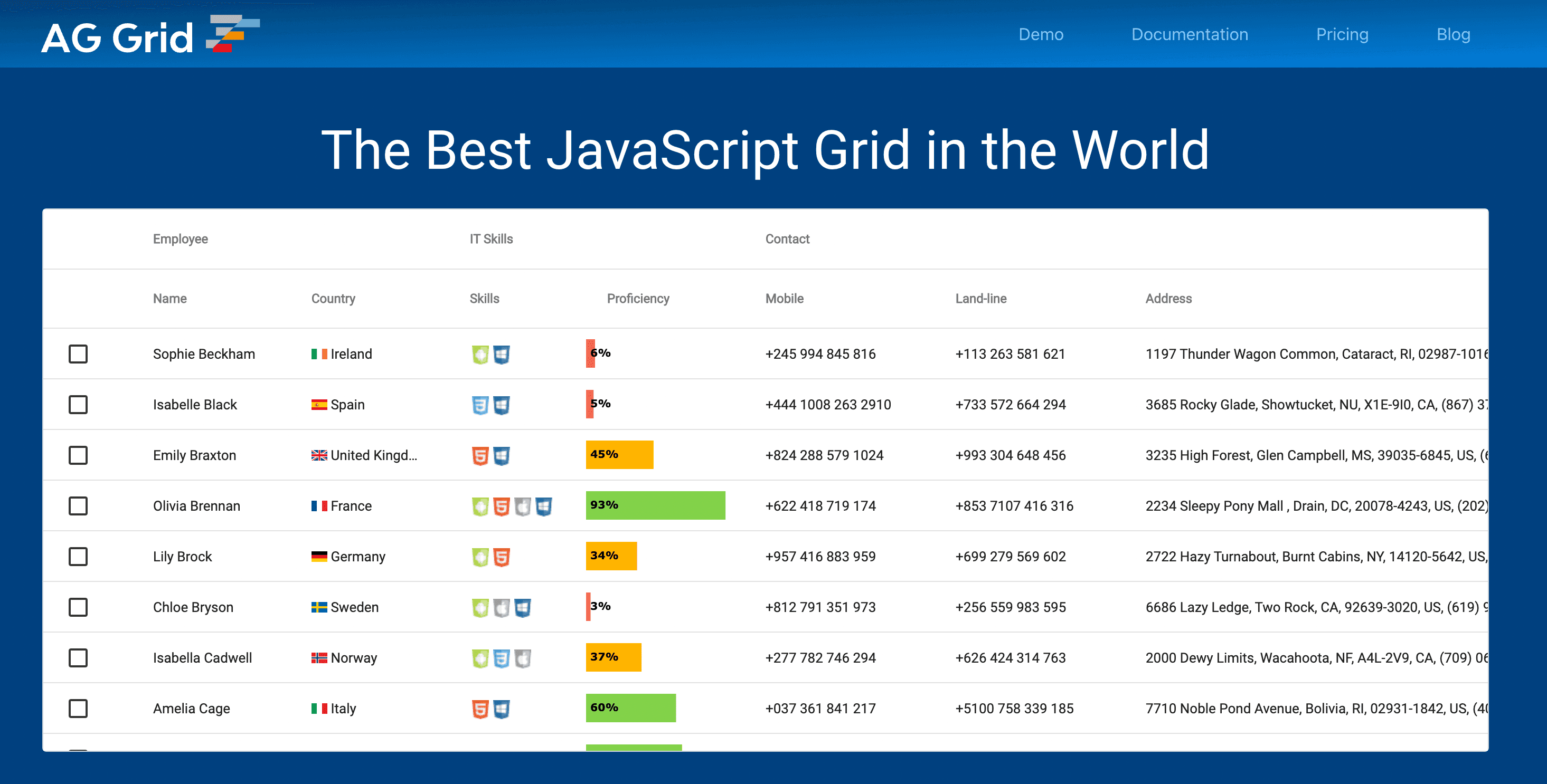 AG Grid Example